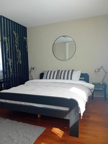 a bedroom with a bed with a mirror on the wall at Grīvas apartamenti in Ogre