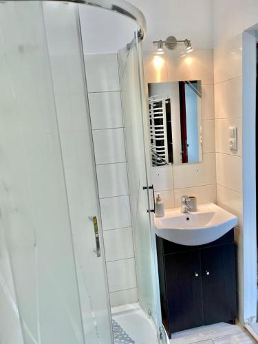 a bathroom with a sink and a glass shower at Przytulna Chata in Zamiany