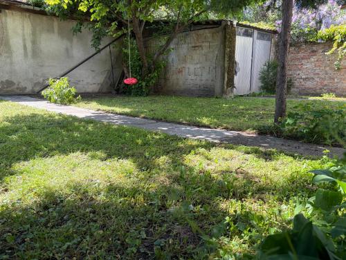 a red frisbee hanging from a tree in a yard at Comfy Attic in Pančevo
