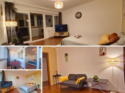 Appartement - Strasbourg - tram - Parking gratuit - Institutions européennes