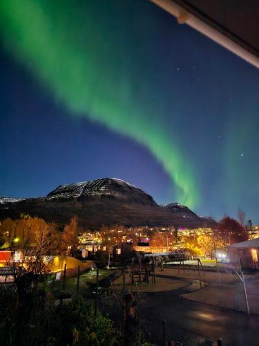 an image of the aurora dancing in the sky at Hótel Austur in Reyðarfjörður