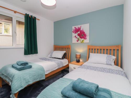 a bedroom with two beds and a window at Mayfly Lodge in Bodmin