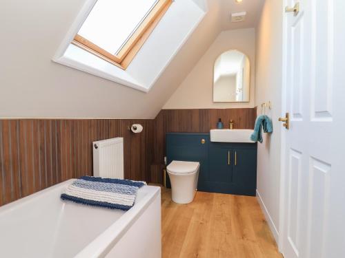 a bathroom with a sink and a toilet and a skylight at Mayfly Lodge in Bodmin