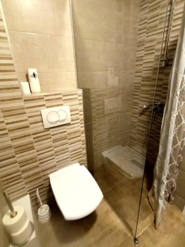 a bathroom with a toilet and a shower at HUGO APARTMAN Green Hill Kompleks- u blizini Akva Parka in Soko Banja