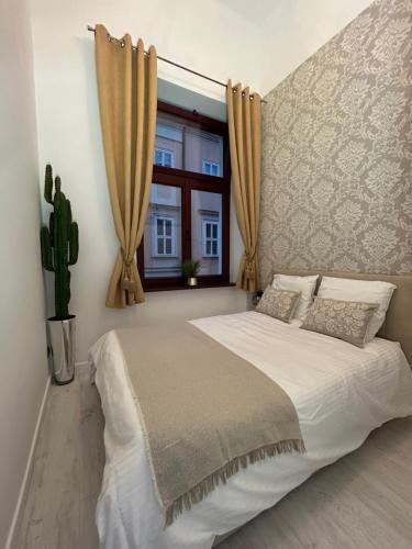Apartment in Old Town - Bracka 1A