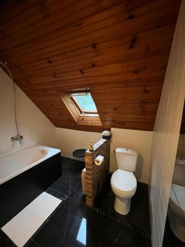 a bathroom with a toilet and a bath tub at Belle maison en pierre, grand jardin au calme in Rocquemont