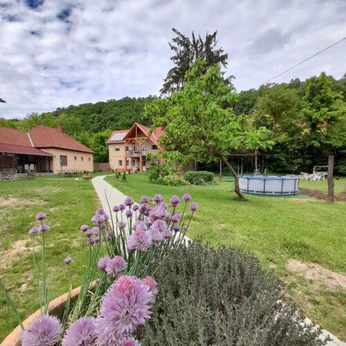 Fónagy Apartmanok
