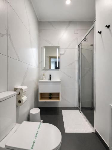 a bathroom with a shower and a toilet and a sink at Pensiunea Brici Junior in Cluj-Napoca