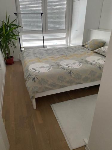 a bedroom with a bed and a window and a plant at Bingo CC Tuzla in Železnička Stanica Tuzla