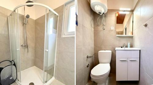 a bathroom with a toilet and a shower at Ždrelac Guest House in Ždrelac
