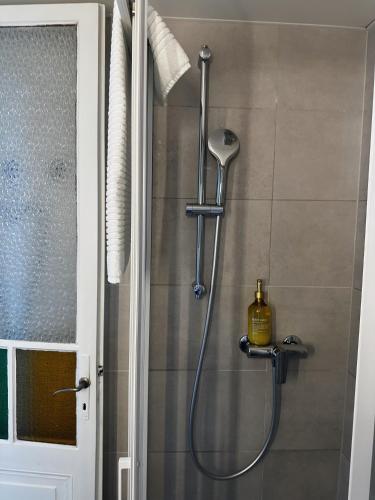 a shower with a shower head in a bathroom at Angoli di pace - Duplex in Muralto