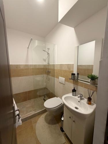 a bathroom with a shower and a toilet and a sink at Cabana Călățele in Călăţele