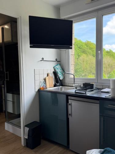 una cucina con lavello e finestra di Studette Cosy a Saint-James