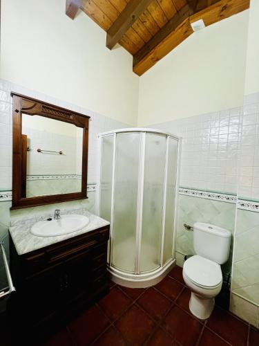 a bathroom with a shower and a toilet and a sink at Cases Tonet in Forcall
