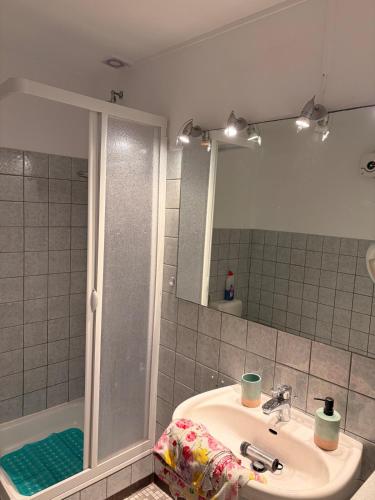 a bathroom with a sink and a shower and a mirror at Nur ein paar Schritte zum Dümmersee in Hüde