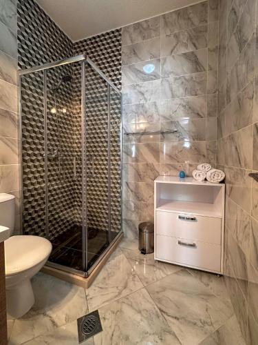 a bathroom with a shower and a toilet at Apartments Stella del Mare in Risan