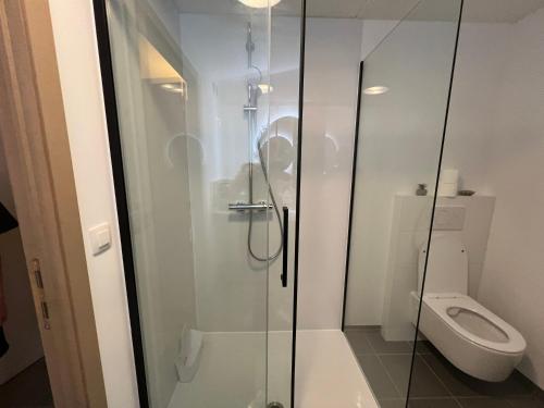 a bathroom with a toilet and a glass shower at Casa Sandra Elisa - Studio aan water in Maasmechelen