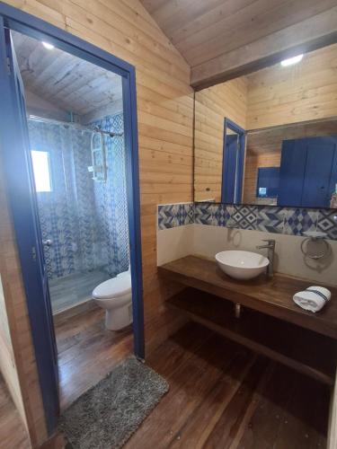 a bathroom with a toilet and a sink and a shower at Hotel Isla Gaviota in Tintipan Island
