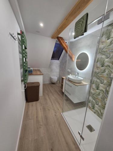 a bathroom with a shower and a sink at Apartament Pod Orzechem in Ulinia