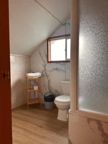 a bathroom with a toilet and a window at Cabañas Bosque Sur in Puerto Varas