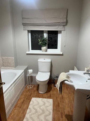 a bathroom with a toilet and a sink and a window at The Clady Home in Clady