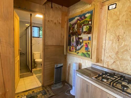 a bathroom with a shower and a toilet and a sink at Cabañas Vistas al Río Villarrica in Villarrica