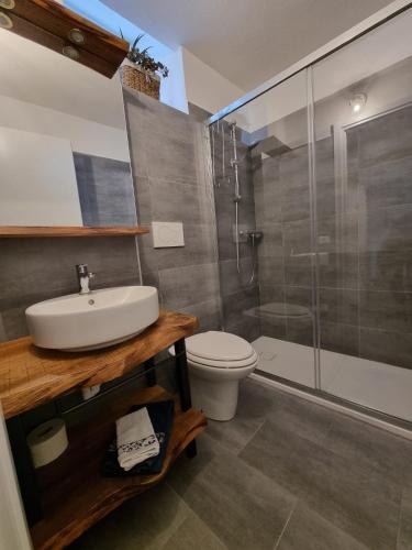 a bathroom with a toilet and a sink and a shower at Olga's Paradise in Santa Croce del Lago