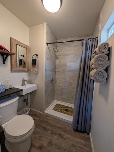 a bathroom with a shower with a toilet and a sink at Cozy Cabin in Squaw Valley