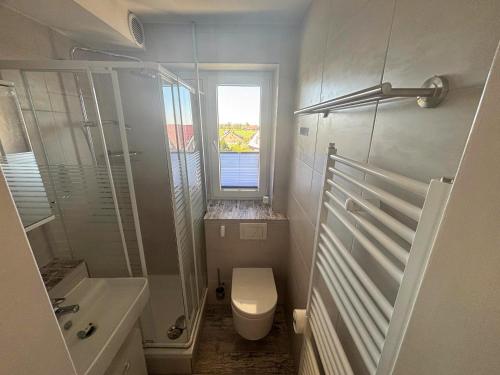 a bathroom with a toilet and a shower and a sink at Tief 12 Seeigel 31 in Wangerland