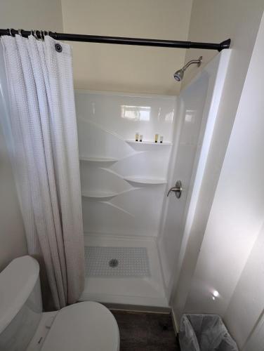 a bathroom with a shower curtain and a toilet at Sweet Mountain Cabin in Squaw Valley