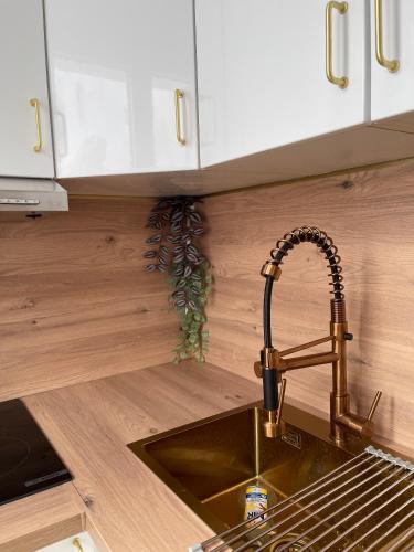 Luxembourg Pantheon Appartement