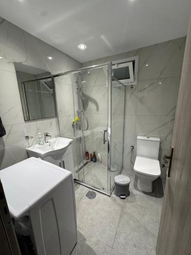 a bathroom with a shower and a toilet and a sink at Gemini Downtown Apartment in Zakynthos