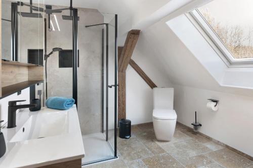 a bathroom with a glass shower and a toilet at Vogtlandstadl - Vogtland Chalet in Bad Brambach