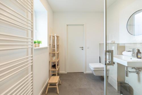 a bathroom with a toilet and a sink at Cottage am Deich Whg Marlene in Uelvesbüll