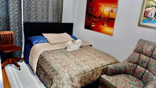 a dog sitting on a bed in a bedroom at Refuge Appartement in Montreal