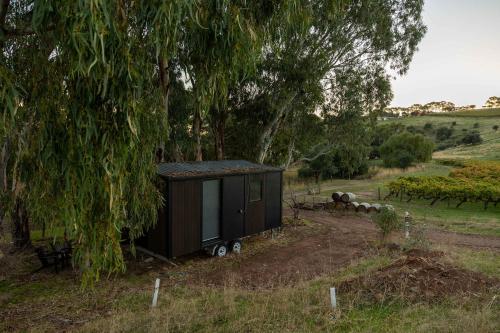a small shed sitting under a tree in a field at Pedlar Creek Tiny House by Tiny Away in McLaren Vale