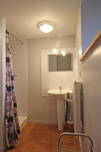 a bathroom with a sink and a mirror at Le petit feuillade in Saint-Laurent-sur-Gorre