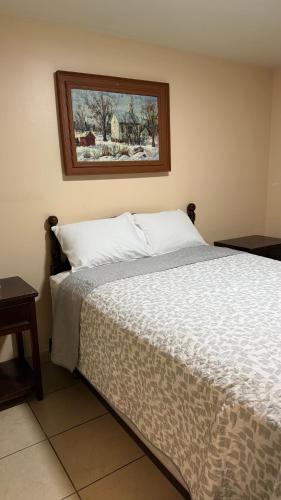 a bed in a bedroom with a picture on the wall at Hotel Segovia in Tijuana