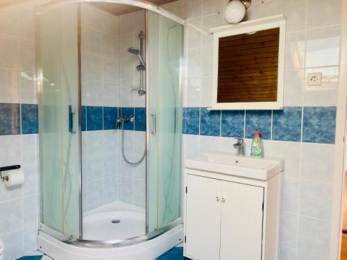 a bathroom with a shower and a sink at Levendula apartman in Kehidakustány