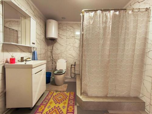 a bathroom with a shower with a sink and a toilet at Nukura in Bokonbayevo