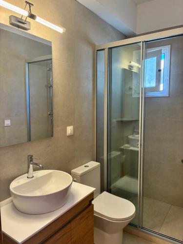 a bathroom with a sink and a toilet and a shower at Villa Elizabeth in Skala