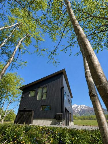 a black and white house with trees at XYZ Niseko in Niseko