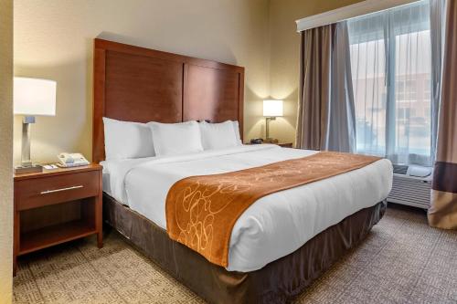 a hotel room with a large bed and a window at Comfort Suites Jonesboro University Area in Jonesboro