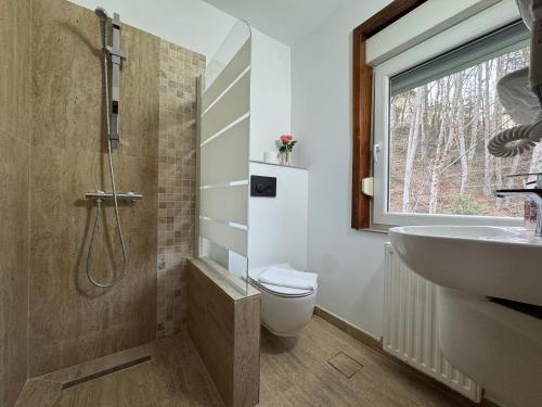 a bathroom with a shower and a toilet and a sink at Vila Thomas in Sinaia