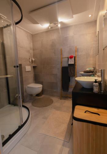 a bathroom with a toilet and a sink and a shower at Pakhuis Bed and Breakfast Unique in Enschede