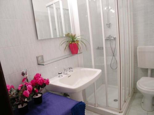 ein Bad mit einem Waschbecken und einer Dusche in der Unterkunft Riviera Appartament in Grado