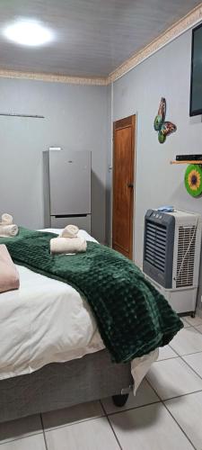 a bedroom with a bed and a tv in it at Malan's Siësta 2 in Kimberley