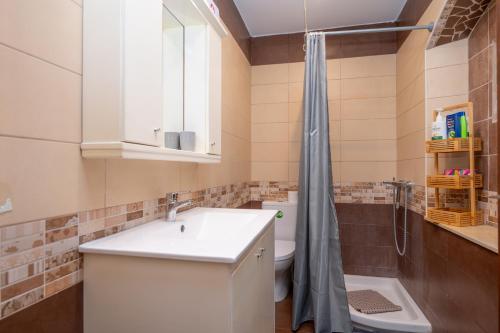 a bathroom with a sink and a toilet and a shower at The Stone Nest in Kefalos