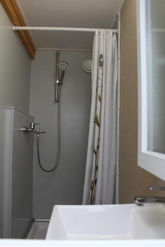 a bathroom with a shower with a shower curtain at Tinyhouse Rhön-Saale in Wülfershausen