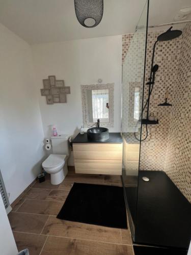 a bathroom with a shower and a sink and a toilet at Quiniere - 25 m2 indépendant avec piscine - Wifi in Blois